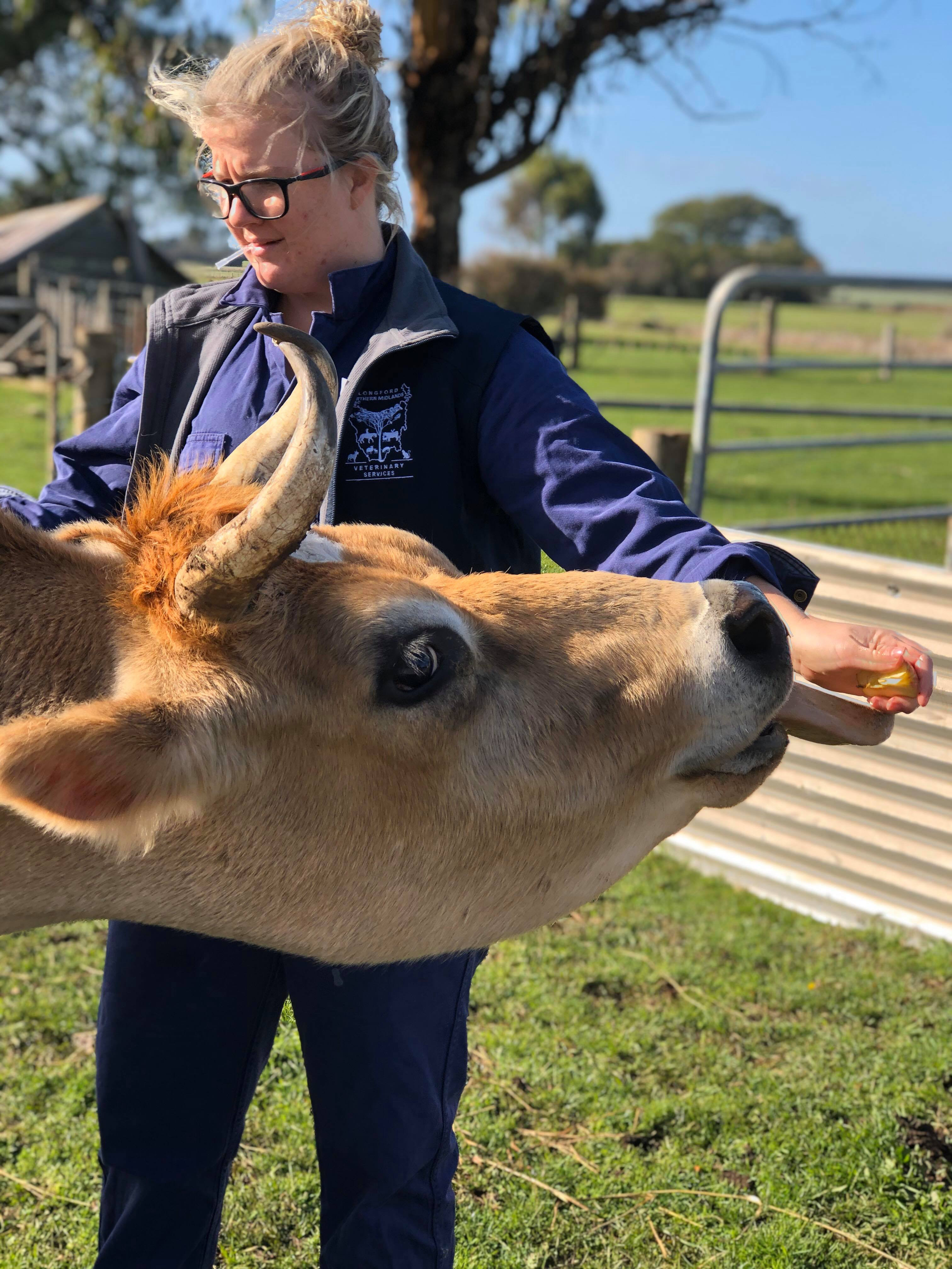 Longford & Northern Midlands Veterinary Services